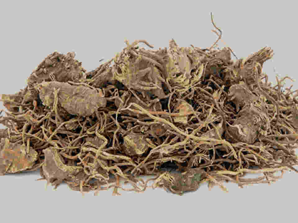 Black Cohosh Tea